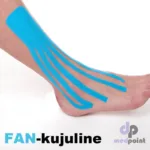 fan-kujuline