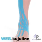 web-kujuline