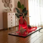 Punase valguse teraapia matt, Trendrehab6
