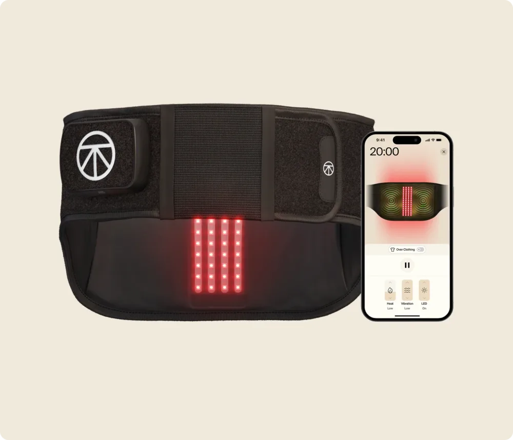 Therabody ThermBack LED3