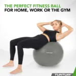Võimlemispall TUNTURI Gymball 90cm, Anti Burst, Silver 3