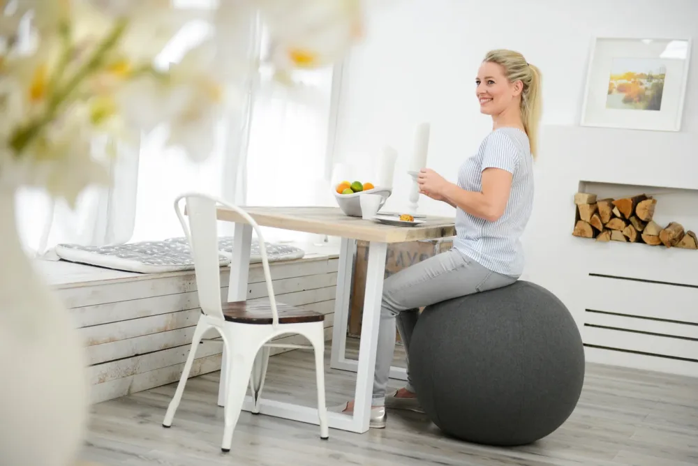 Sissel Securemax ball11 SISSEL® võimlemispalli kate, hall, 65 cm - Image 3