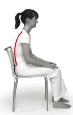 SISSEL® SIT SPECIAL, 2 in 1 hall kiilukujuline ortopeediline istumispadi - Image 6