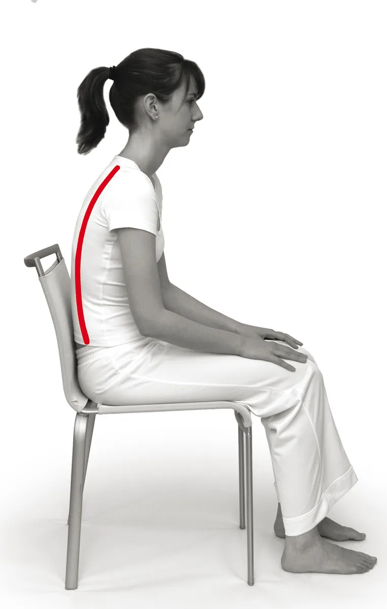 Sissel Sit Special7 SISSEL® SIT SPECIAL, 2 in 1 hall kiilukujuline ortopeediline istumispadi - Image 6
