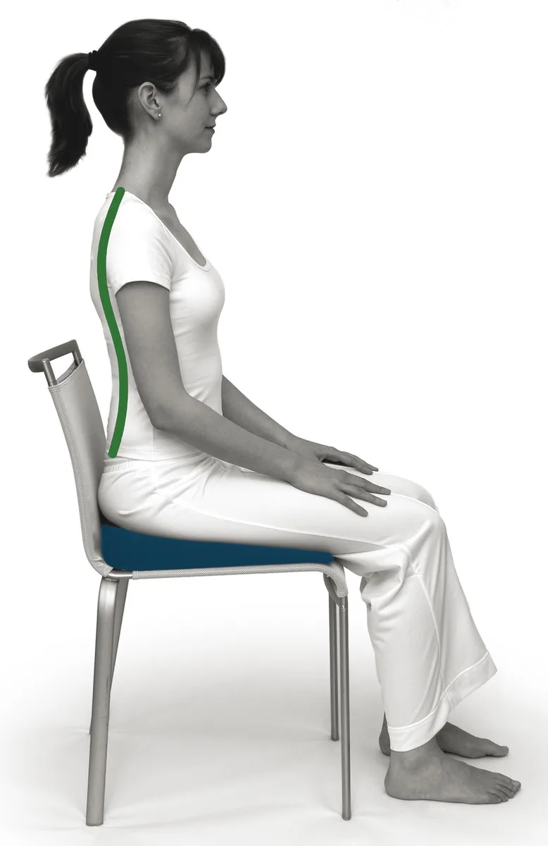 Sissel Sit Special8 SISSEL® SIT SPECIAL, 2 in 1 hall kiilukujuline ortopeediline istumispadi - Image 7