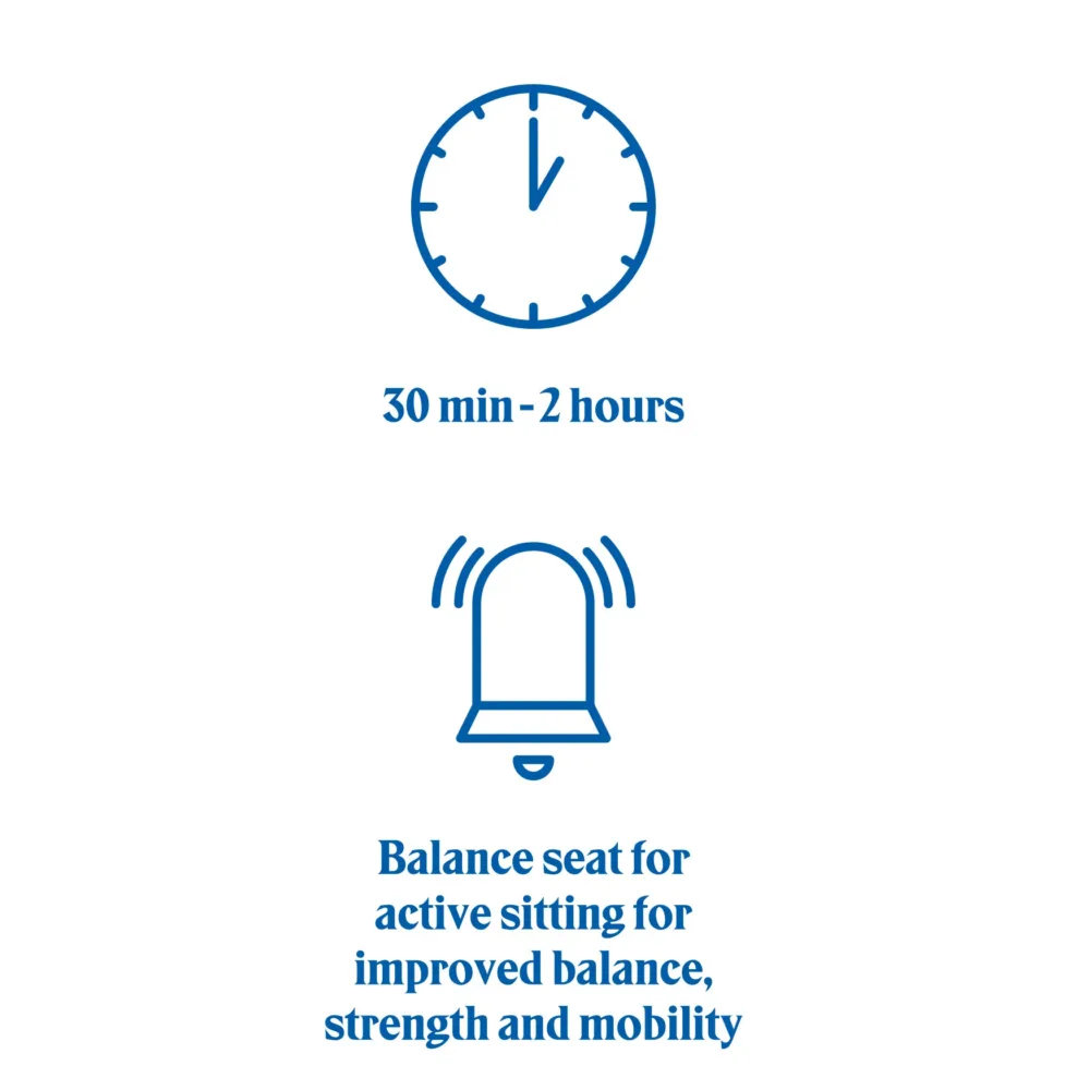 Swedish Posture BALANCE Tasakaaluiste - Image 6
