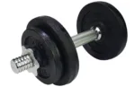 Hantel raskustega 10kg Tunturi 1tk