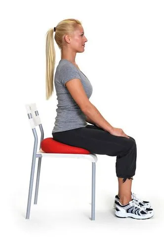 Sissel Sitfit tasakaalupadi istumispadi Sissel Sitfit tasakaalupadi istumispadi