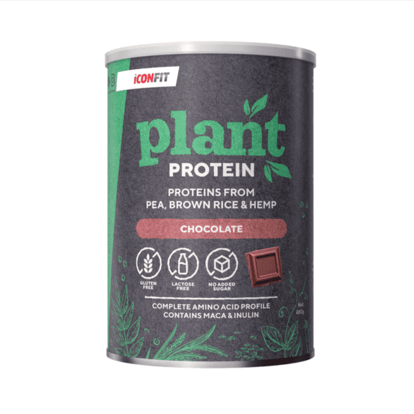 iconfit plant protein chocolate