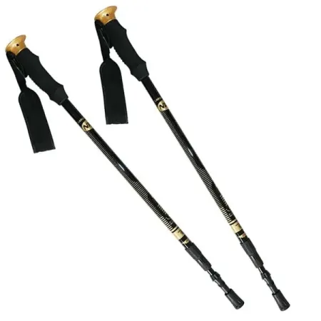 NORDIC WALKING / Teleskoop anti-shock jalutuskepid fe9766871