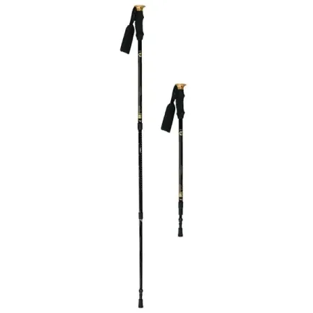 NORDIC WALKING / Teleskoop anti-shock jalutuskepid 6dcb033f