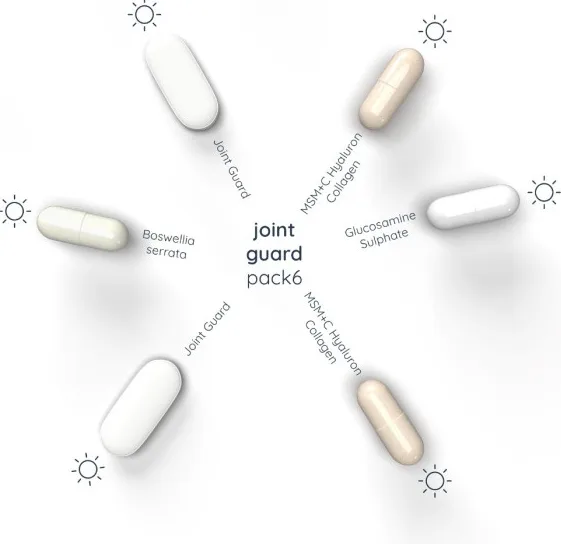 Nutriversum VITA JOINT GUARD PACK 30 pak Nutriversum VITA JOINT GUARD PACK 30 pak