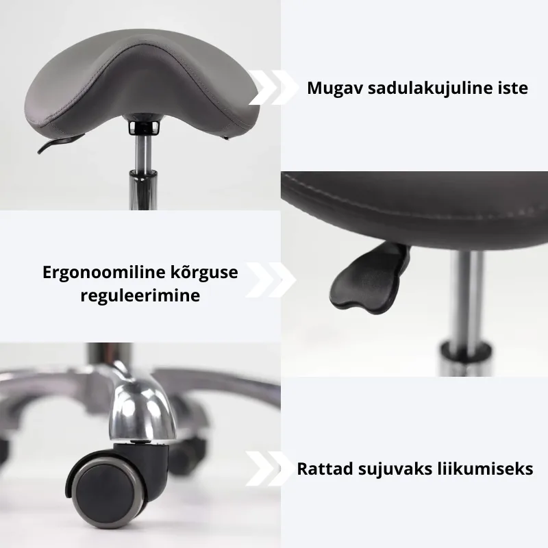 sadultool ratastega Alma sadultool ratastega Alma