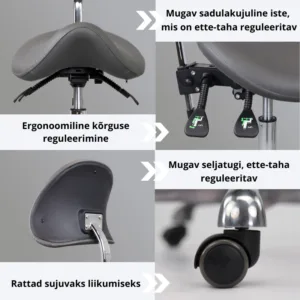 ergonoomiline tool, sadultool seljatoega, Diana Habys