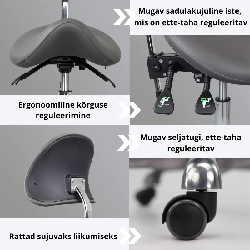 ergonoomiline tool, sadultool seljatoega, Diana Habys ergonoomiline tool, sadultool seljatoega, Diana Habys