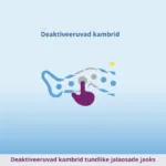 Venen Engel 4 kambriga Premium lümfiteraapia kompressioonseade