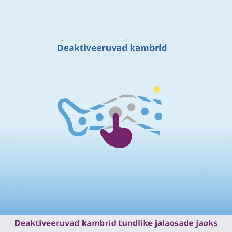 Venen Engel 4 kambriga Premium lümfiteraapia kompressioonseade Venen Engel 4 kambriga Premium lümfiteraapia kompressioonseade