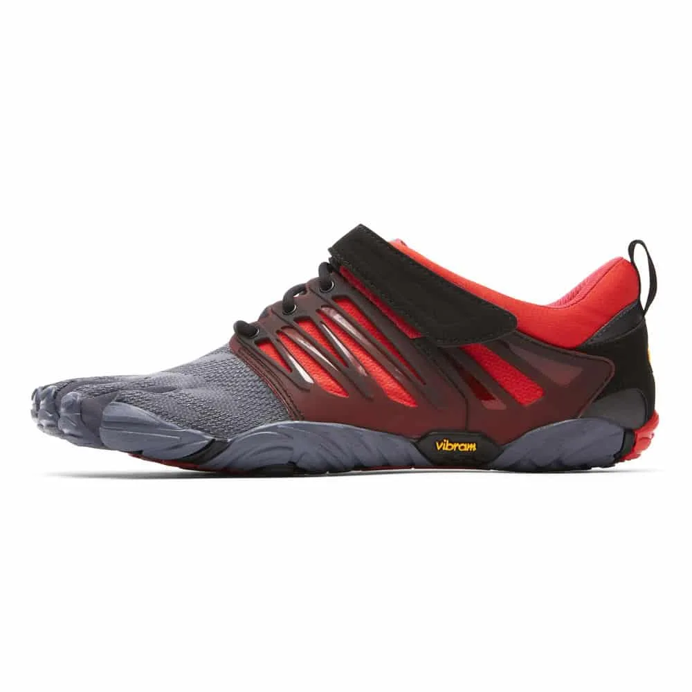 v train grey black red 13m6602 lateral.jpg v train grey black red 13m6602 lateral.jpg