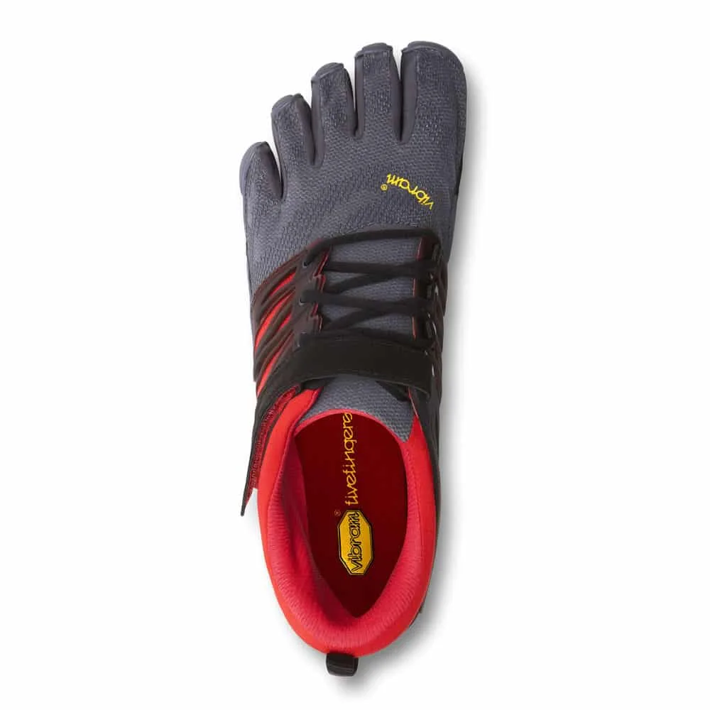 v train grey black red 13m6602 top.jpg v train grey black red 13m6602 top.jpg