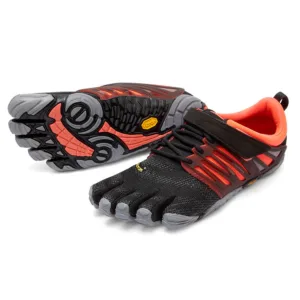 v train 17w6604 blackcoralgrey.jpg