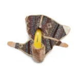 vibram furoshiki lapland fur boots unwrapped.jpg