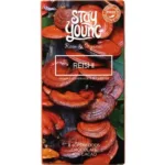 Suhkruvaba tooršokolaad Reishi 44 g