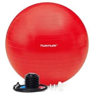 gymball anti burst including pump