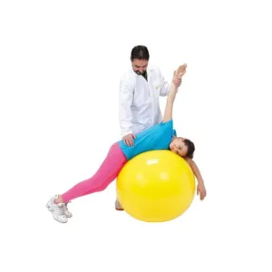 Gymnic Classic võimlemispall, 45 cm (2)