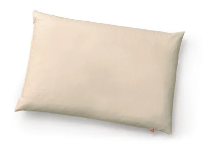 Palea speltaaganapadi 60 × 40 cm, ilma katteta